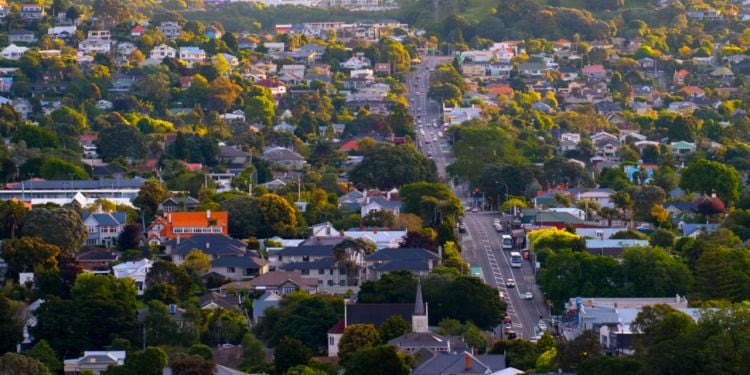 real estate agent Manurewa