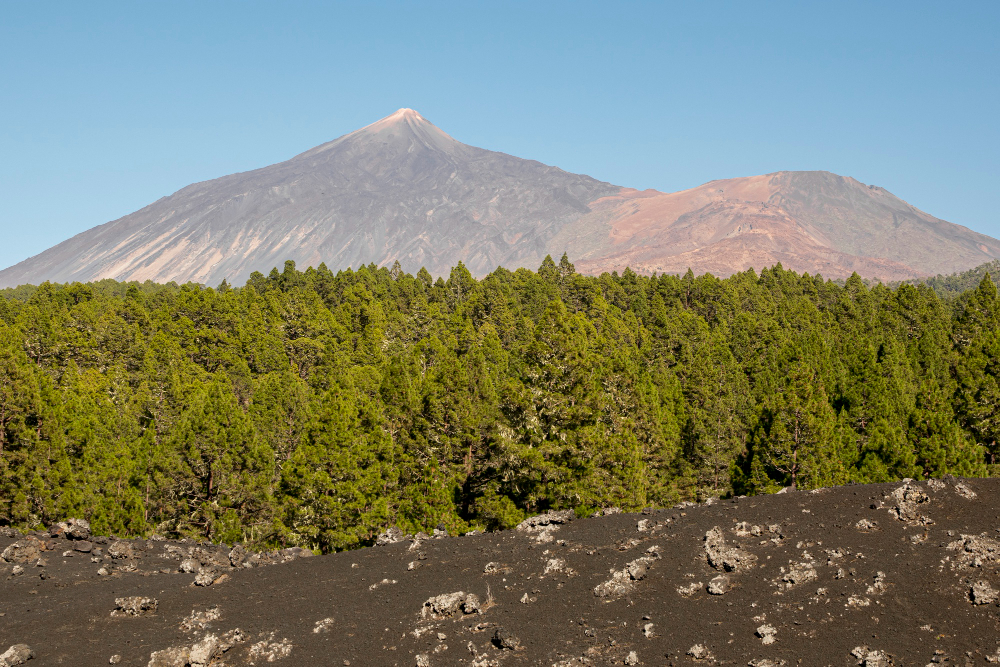 National Park